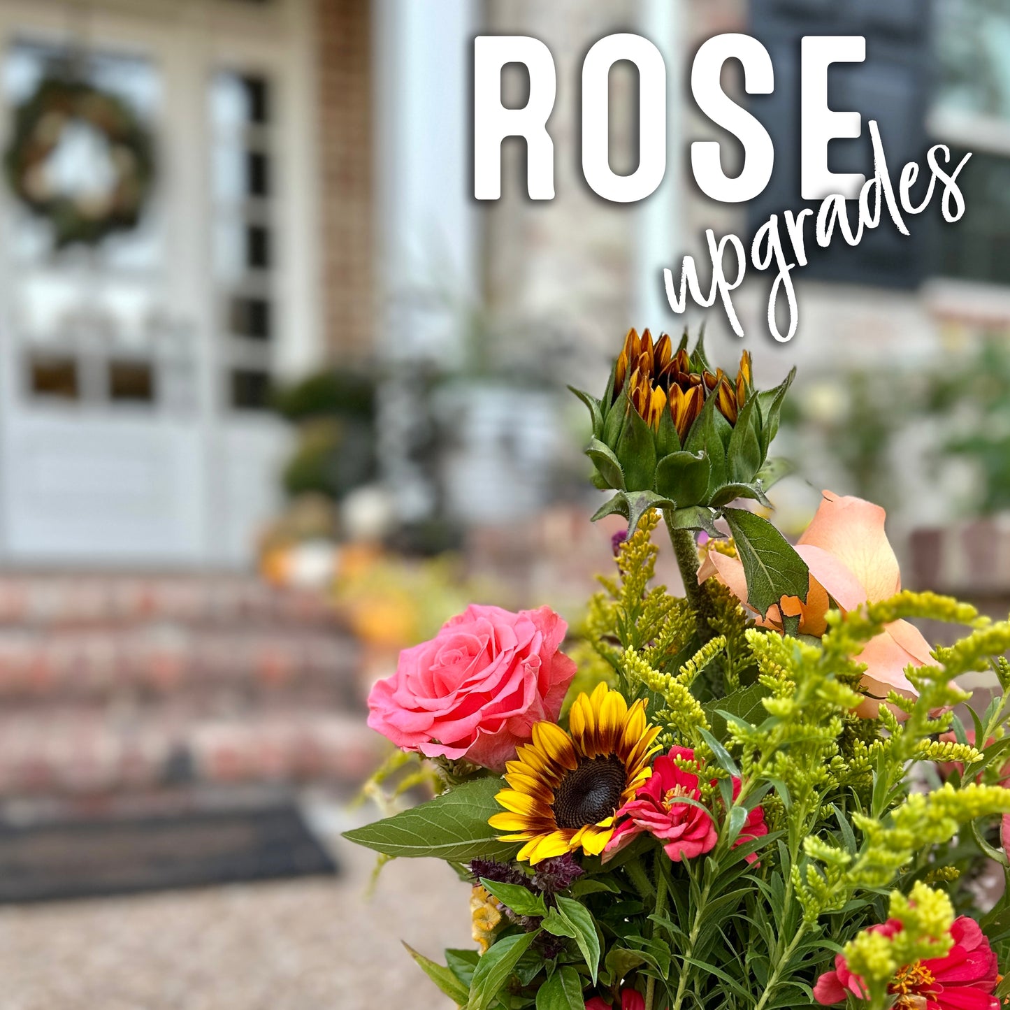 Membership Rose Upgrade